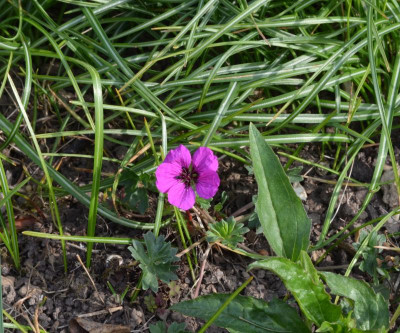 DSC_3954.JPG