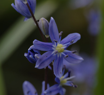 DSC_4901_DxO.jpg