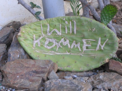 Spanien_2006_004.jpg