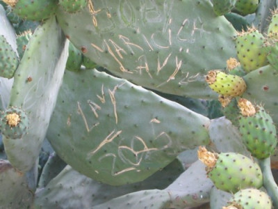 spanien_2005_049.jpg