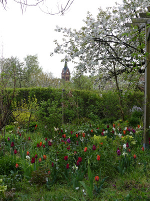 2022-04-29 Gartenimpressionen 3.jpg