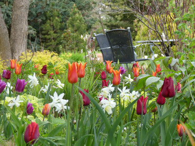 2022-04-29 Gartenimpressionen 5.jpg