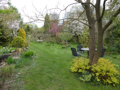 2022-04-29 Gartenimpressionen 2.jpg
