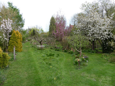 2022-04-29 Gartenimpressionen 1.jpg