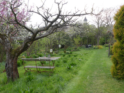 2022-04-29 Garteneinblick 7.jpg