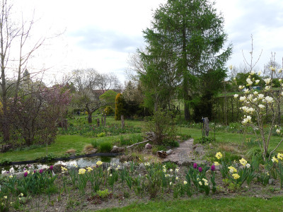 2022-04-29 Garteneinblick 3.jpg