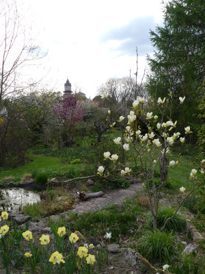 2022-04-29 Garteneinblick 5.jpg