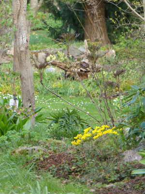 2022-04-27 Gartenimpressionen 8.jpg