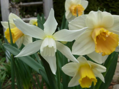 DSCN6558_Bildgroe_andern.jpg