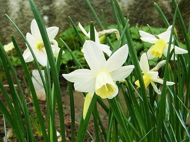 DSCN6576_1.jpg
