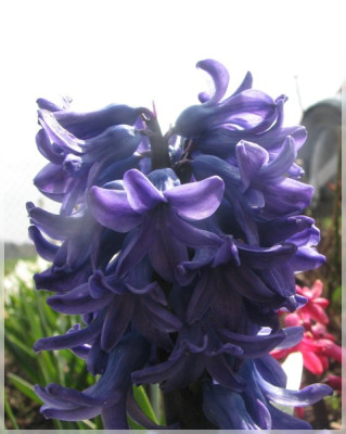 a05_04_04.jpg