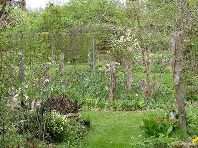 2022-05-01 Garteneinblick 1.jpg