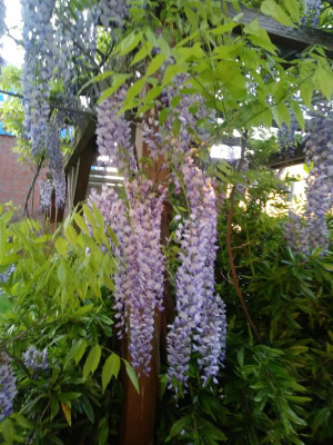 20210529_204917.jpg