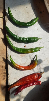 20220504_150904.jpg