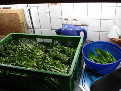 DSC05811neu.jpg