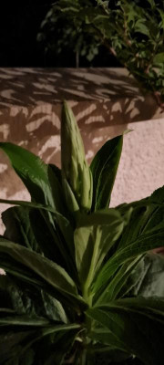 20220504_224000.jpg
