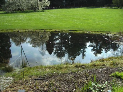 Teich_im_Hermannshof.jpg