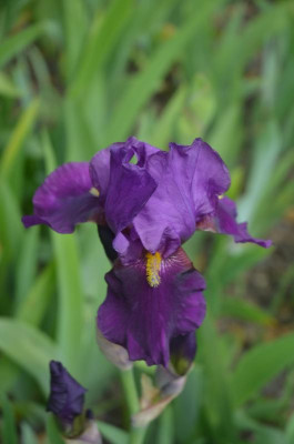 D7519.JPG