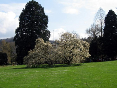 Herrmannshof.JPG