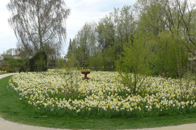 Offene Gärten 3927.jpg
