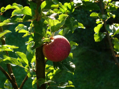 Berlepsch-Okt-1.jpg