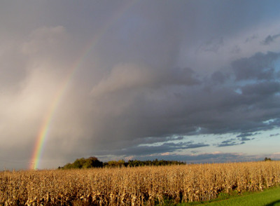 regenbogen_oktober_eins.jpg