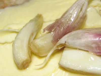 knobl2.JPG