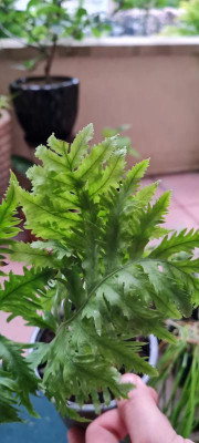20220429_203309.jpg