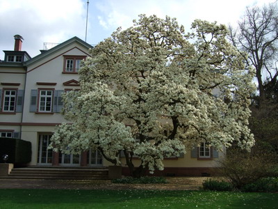 DSCF38360.jpg