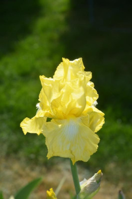 D7537.JPG