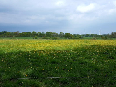20220507_155022.jpg