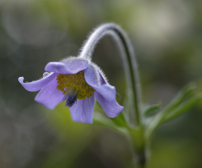 DSC_4989_DxO.jpg
