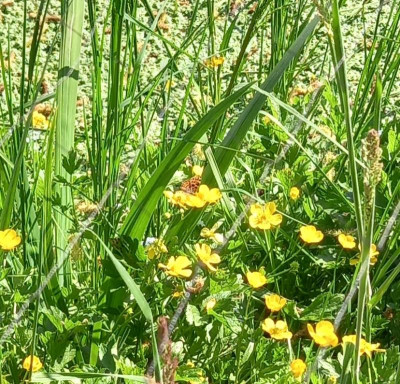 20220509_163549_copy_828x794.jpg