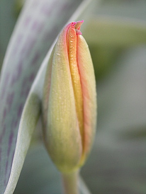 7april0014.jpg