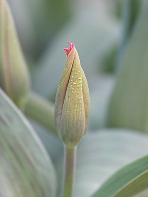 7april0016.jpg