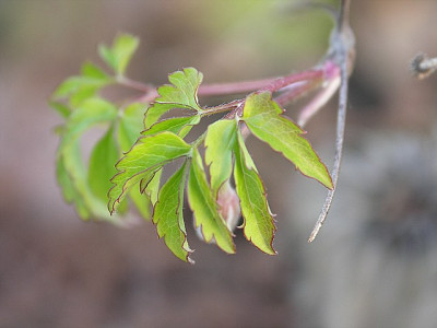7april0022.jpg