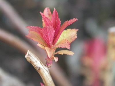 7april0027.jpg