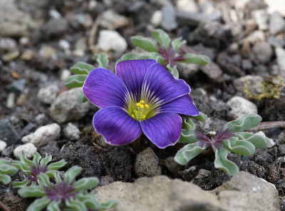 DSC_5003_DxO.jpg