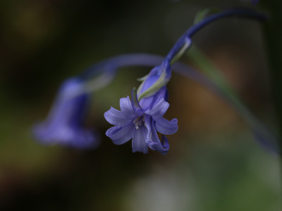 DSC_5027_DxO.jpg