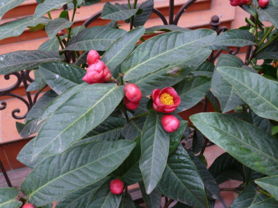 P1080674.JPG