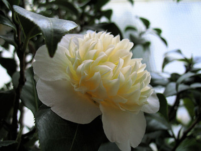 IMG_8297_JY.JPG