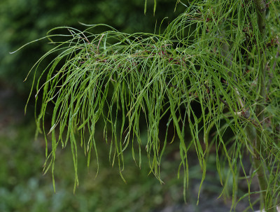 DSC_5056_DxO.jpg