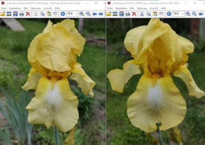 Screenshot 2022-05-12 203701.jpg