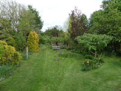 2022-05-13 Garteneinblick 2.jpg
