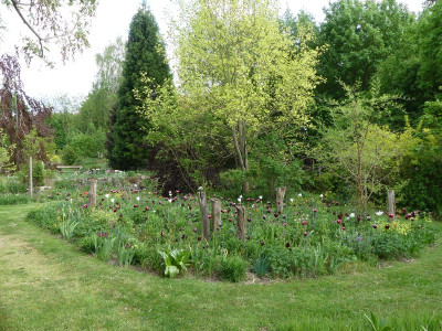 2022-05-13 Garteneinblick 4.jpg