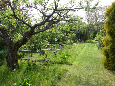 2022-05-13 Garteneinblick 5.jpg