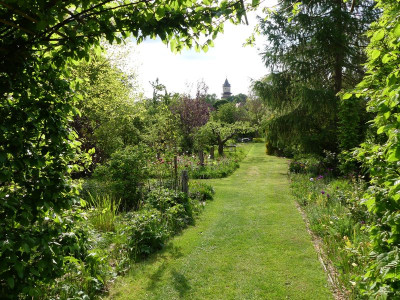 2022-05-13 Garteneinblick 6.jpg