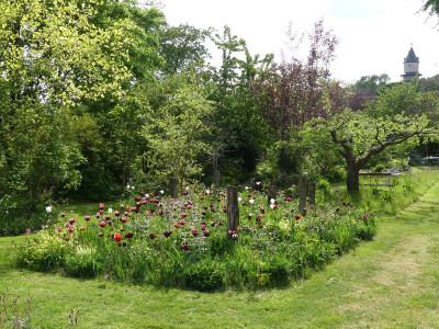 2022-05-13 Garteneinblick 7.jpg