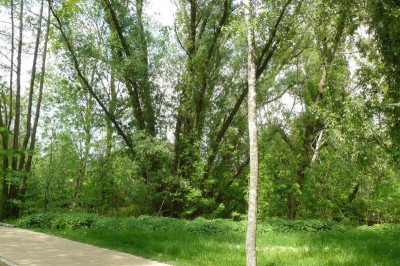 Landesgartenschau Beelitz 2023 198.jpg