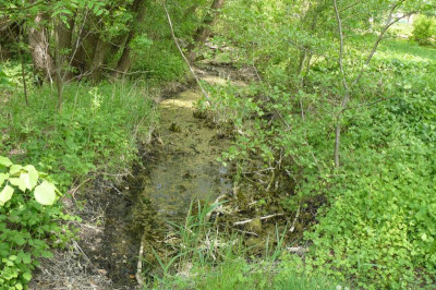 Landesgartenschau Beelitz 2023 199.jpg